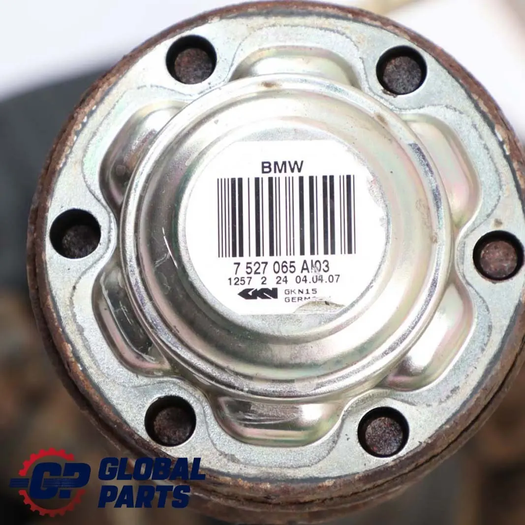 BMW 3 E92 Coupe 335i N54 Schwenklager Radträger Bremssattel Set Hinten Links - SKU 6774807-19 - Teilenummer 6774807