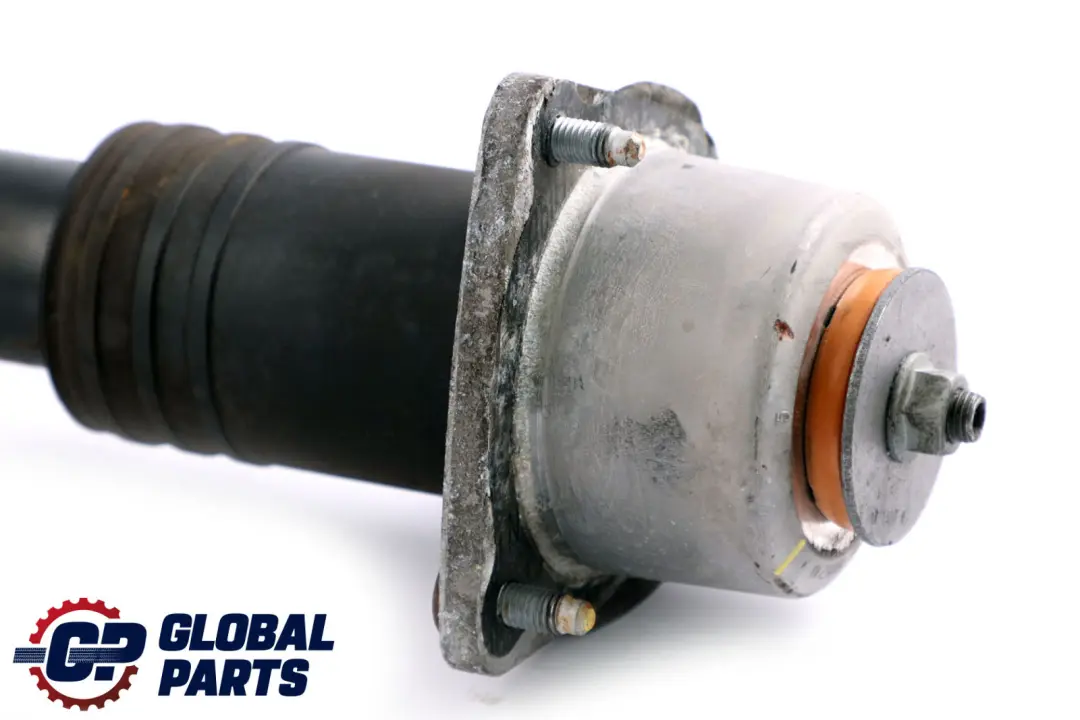 Amortisseur arriere gauche Suspension ressort et a jambe BMW X5 E70 - SKU 6781929 - Numéro de pièce 6781929