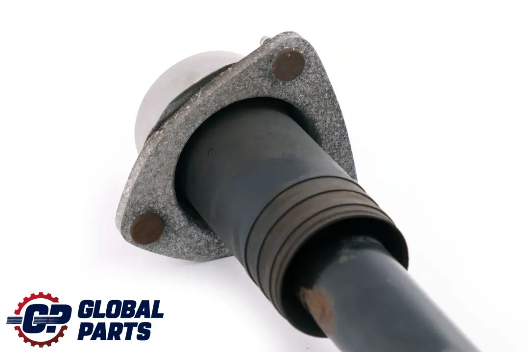 Amortisseur arriere gauche Suspension ressort et a jambe BMW X5 E70 - SKU 6781929 - Numéro de pièce 6781929