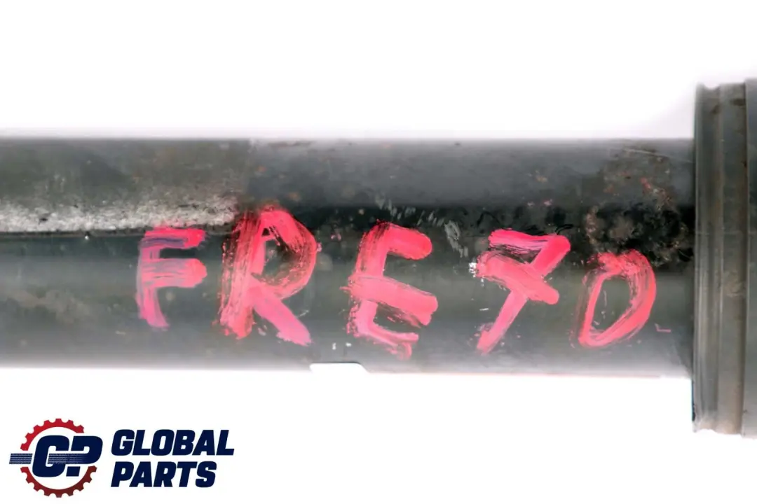 Ammortizzatore Assale Posteriore Destro per BMW X5 E70 con numero di parte 6782878 BMW X5 E70 Ammortizzatore Assale Posteriore Destro - SKU 6782878 - Numero di parte 6782878