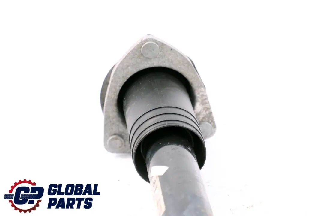 Arrière Gauche Amortisseur Ressort Jambe de Suspension pour BMW E71 à propos du numéro de pièce 6783017 BMW E71 Arrière Gauche Amortisseur Ressort Jambe de Suspension - SKU 6783017 - Numéro de pièce 6783017