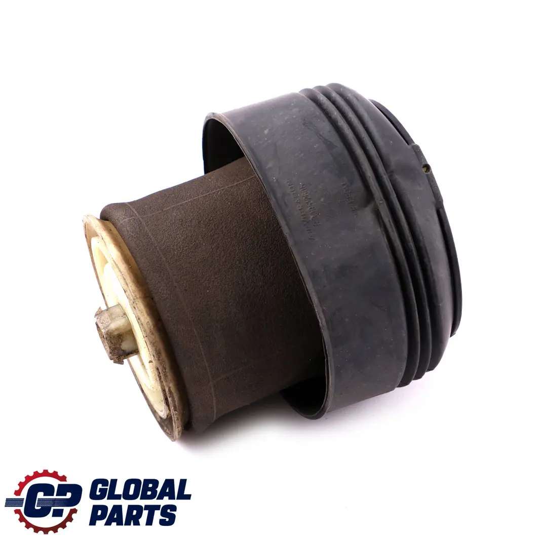 BMW X5 Series E70 Pneumatic Spring Rear Left N/S Suspension - SKU 6790079 - Part number 6790079