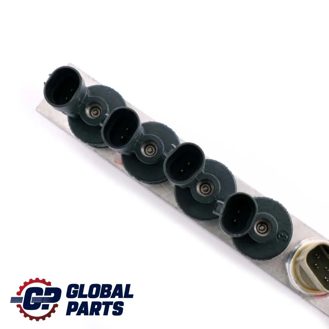 Autogas LPG 8 Cylinder Injection System Injector Rails to BMW X5 E53 with Part number 67R-010185 BMW X5 E53 Autogas LPG 8 Cylinder Injection System Injector Rails - SKU 67R-010185 - Part number 67R-010185