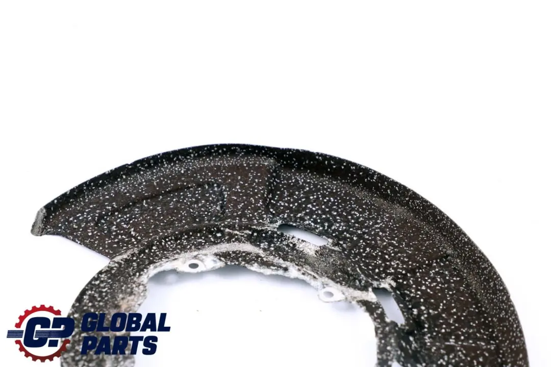 BMW X5 X6 Series E70 E71 Rear Brake Disc Protection Plate - SKU 6857981 - Part number 6857981