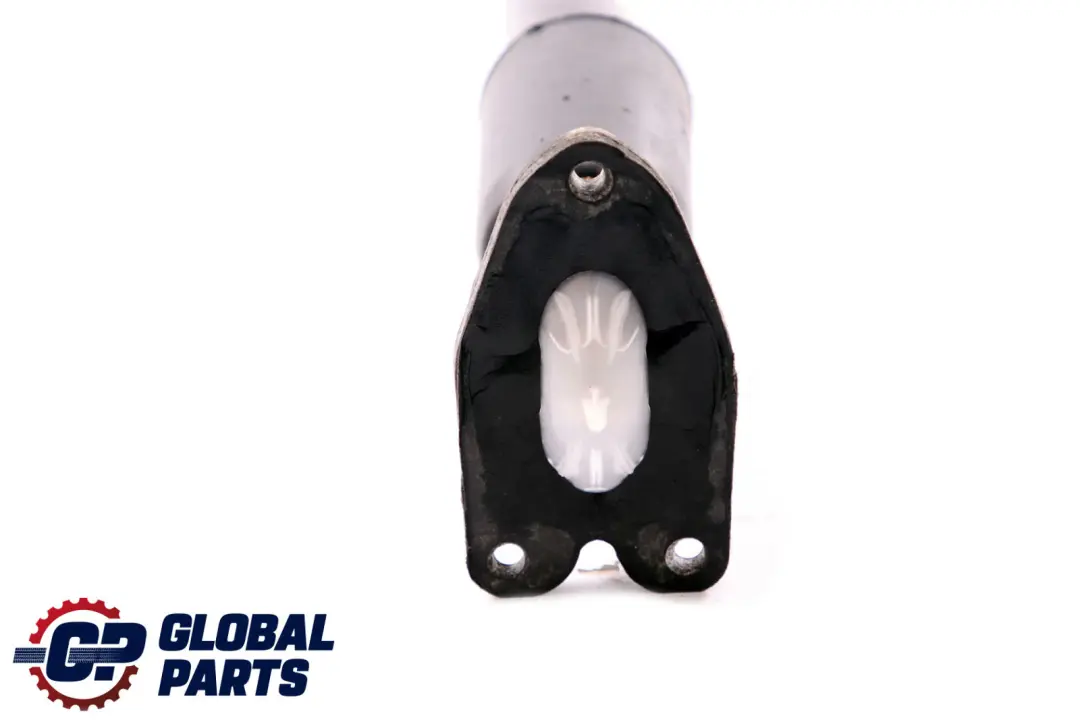 BMW 1 2 er F20 F21 F22 M Paket Hinterachse Federbein Stossdämpfer - SKU 6860740 - Teilenummer 6860740