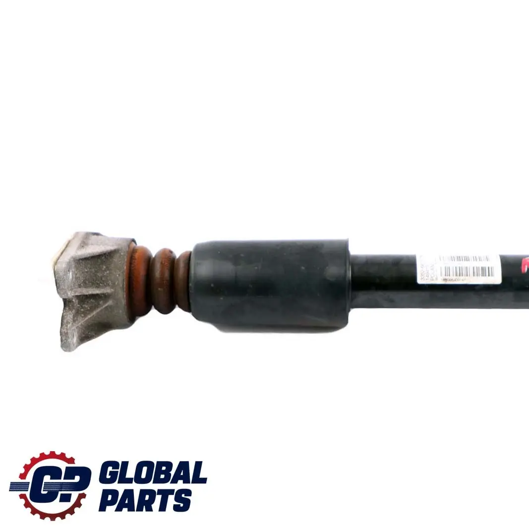 BMW F30 LCI 330e Hybrid Rear Strut Shock Absorber Left Right N/O/S - SKU 6876754 - Part number 6876754
