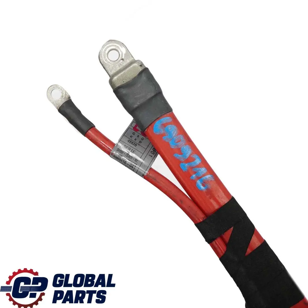 Version Battery Cable Wiring Positive Plus Pole to BMW 7 Series E66 Long with Part number 6909216 BMW 7 Series E66 Long Version Battery Cable Wiring Positive Plus Pole - SKU 6909216 - Part number 6909216