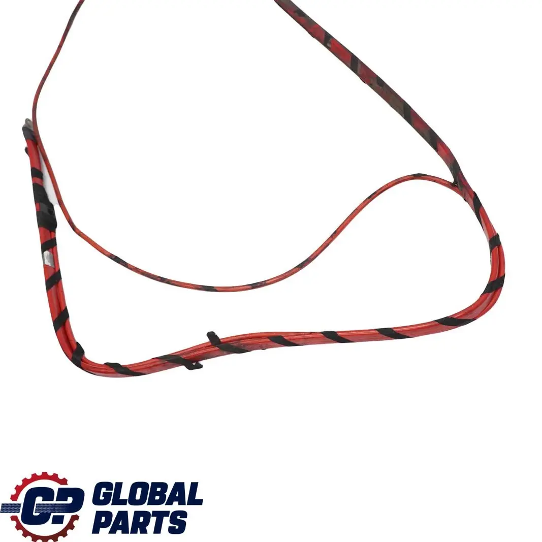 Version Battery Cable Wiring Positive Plus Pole to BMW 7 Series E66 Long with Part number 6909216 BMW 7 Series E66 Long Version Battery Cable Wiring Positive Plus Pole - SKU 6909216 - Part number 6909216