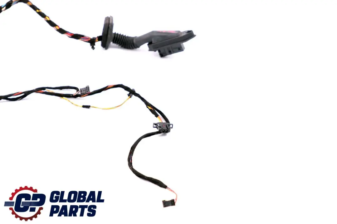 BMW X5 er E53 Kabelsatz Kabelbaum Kabel Tür Türe Hinten Rechts Links - SKU 6910429 - Teilenummer 6910429
