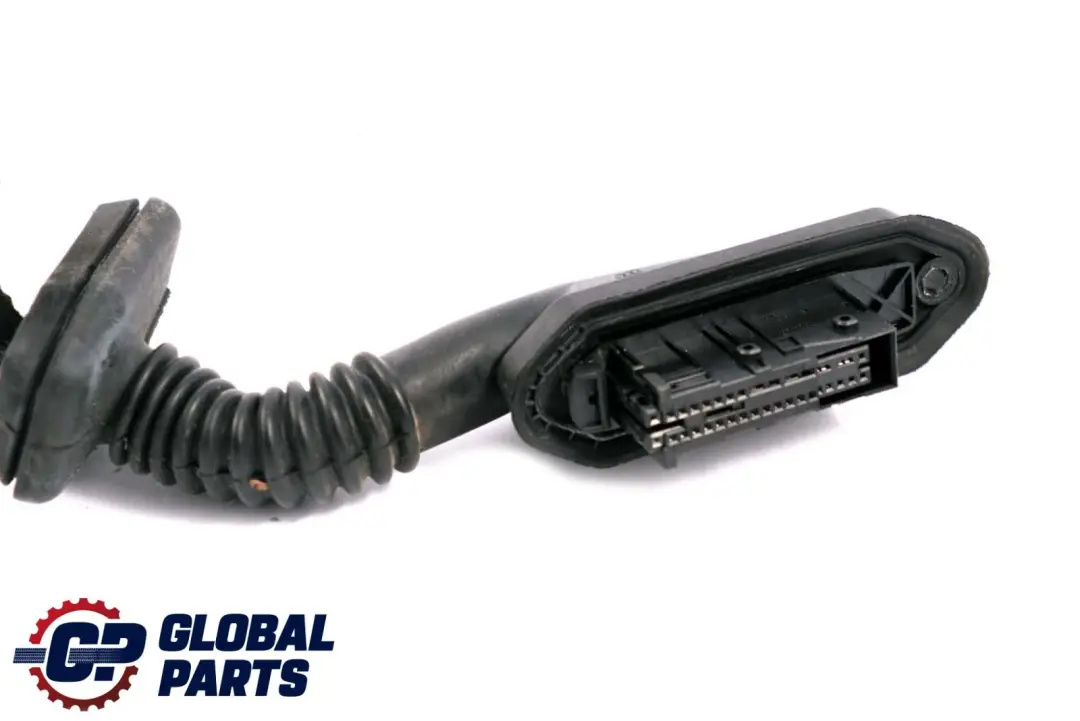 Cable Loom Door Rear Left Right N/O/S Wiring Harness to BMW X5 Series E53 with Part number 6910429 BMW X5 Series E53 Cable Loom Door Rear Left Right N/O/S Wiring Harness - SKU 6910429 - Part number 6910429