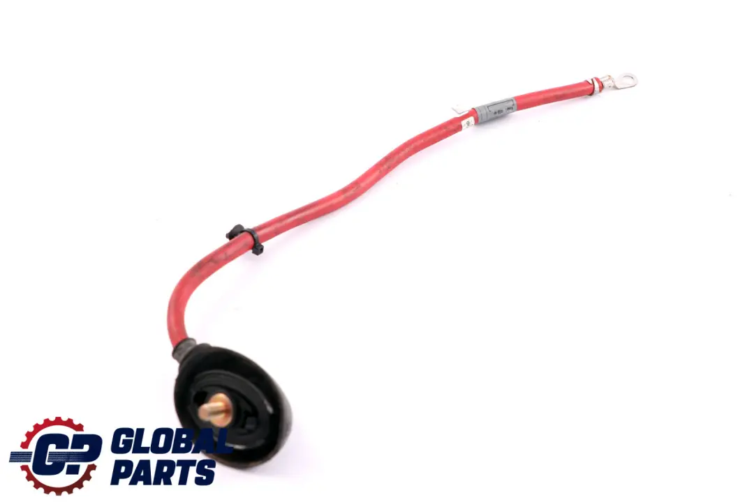 BMW X3 3 Series E83 E46 Battery Cable Plus Pole - SKU 6910539 - Part number 6910539