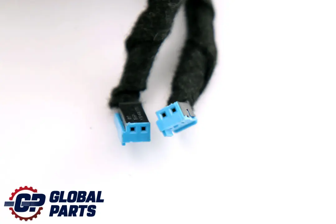 BMW 7 Series E65 Cable Harness Loom Front Door Wiring Right O/S - SKU 6913138 - Part number 6913138