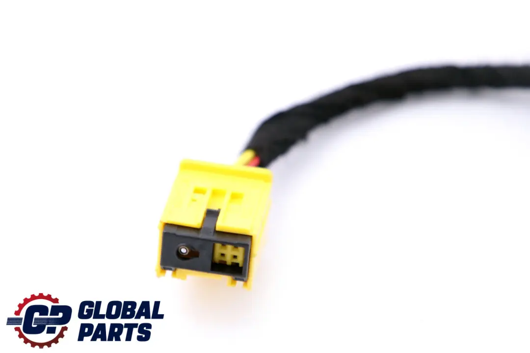BMW E65 Mazo De cables Cableado Puerta Delantera Derecha - SKU 6913138 - Número de pieza 6913138