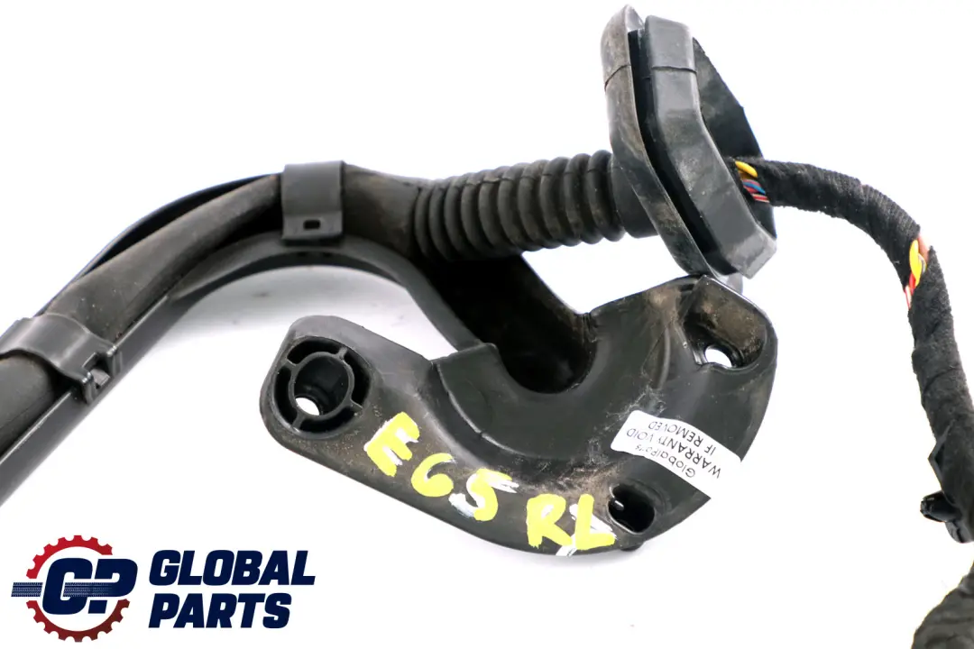 BMW 7 Series E65 E66 Rear Left Door Module Wiring Loom Harness N/S - SKU 6913155 - Part number 6913155