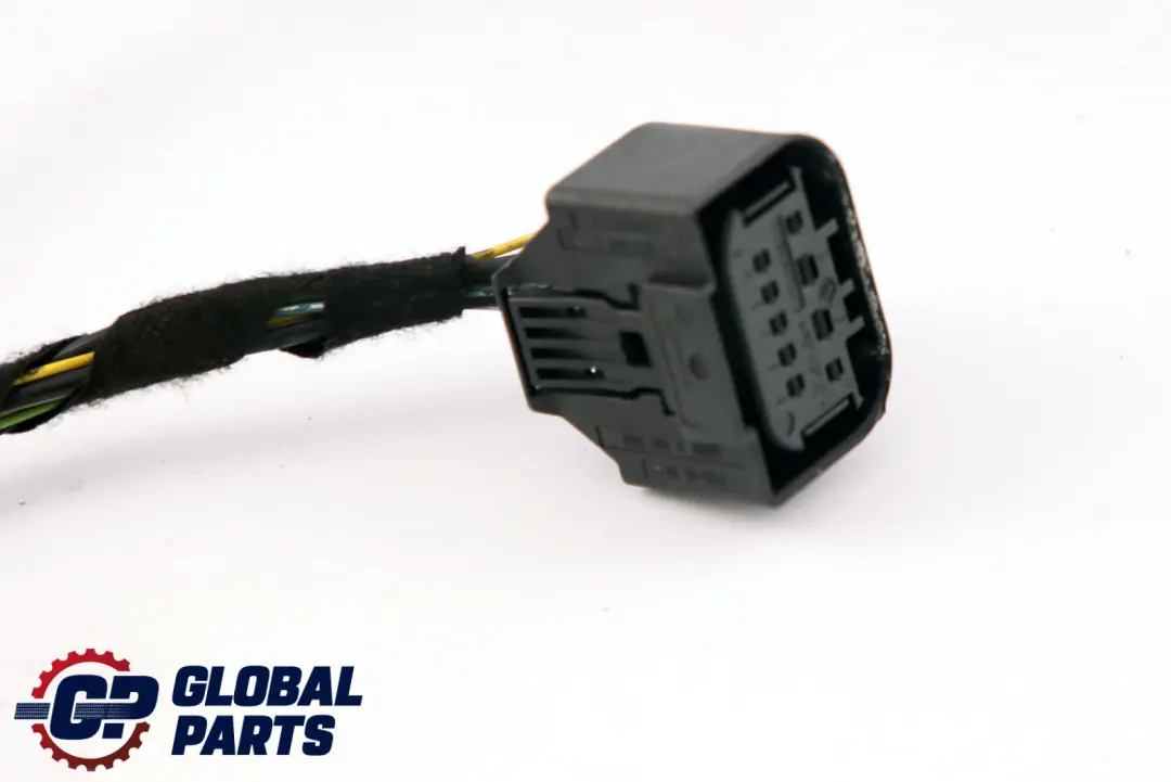 BMW 7 Series E65 Cable Harness Loom Front Door Wiring Left Right N/O/S - SKU 6920292 - Part number 6920292