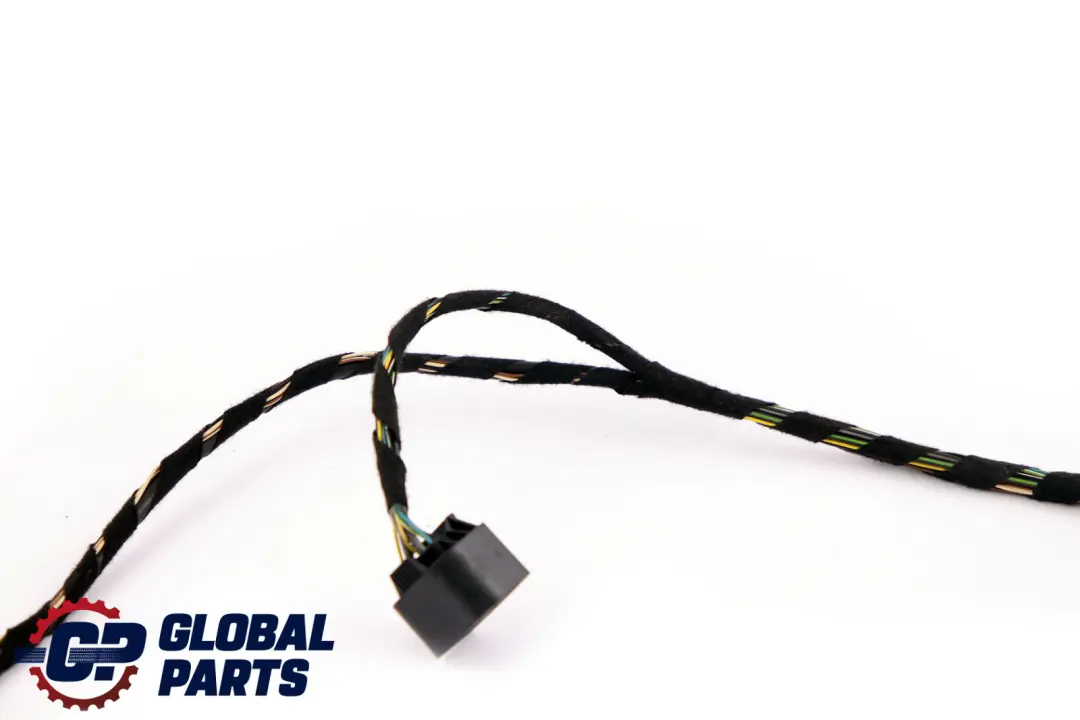 BMW 7 Series E65 Cable Harness Loom Front Door Wiring Left Right N/O/S - SKU 6920292 - Part number 6920292
