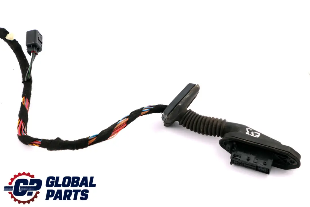 Kabelbaum Tür Vorne Links Rechts für BMW X5 Series E53 mit Teilenummer 6923511 BMW X5 Series E53 Kabelbaum Tür Vorne Links Rechts - SKU 6923511 - Teilenummer 6923511