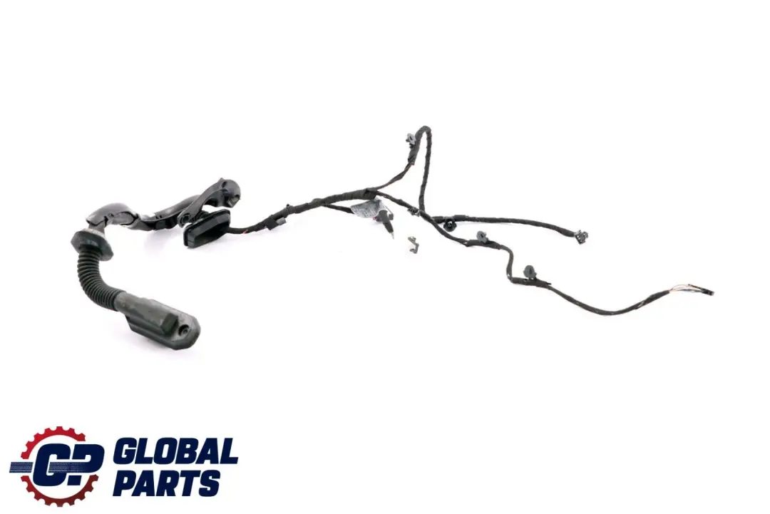 Mazo de Cables Cableado Puerta Delantera Derecha 6950377 para BMW E65 con número de pieza 6923698 BMW E65 Mazo de Cables Cableado Puerta Delantera Derecha 6950377 - SKU 6923698 - Número de pieza 6923698