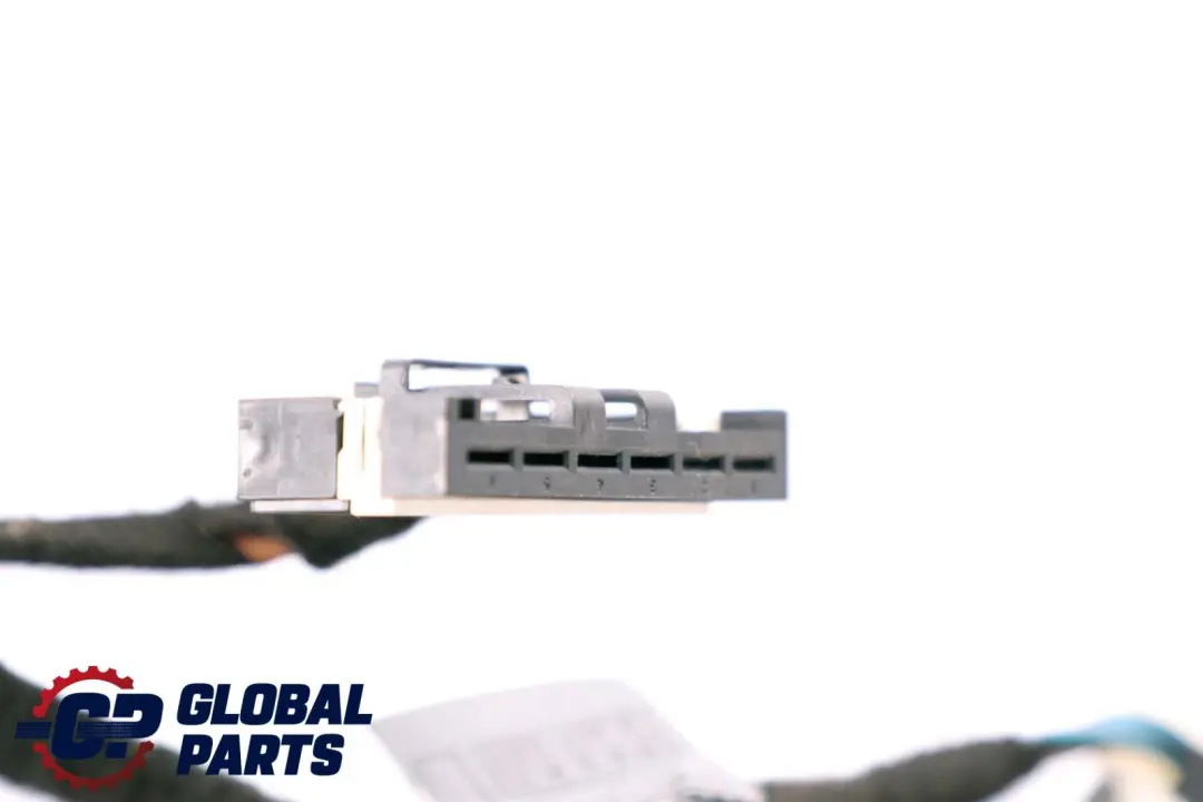 Mazo de Cables Cableado Puerta Delantera Derecha 6950377 para BMW E65 con número de pieza 6923698 BMW E65 Mazo de Cables Cableado Puerta Delantera Derecha 6950377 - SKU 6923698 - Número de pieza 6923698