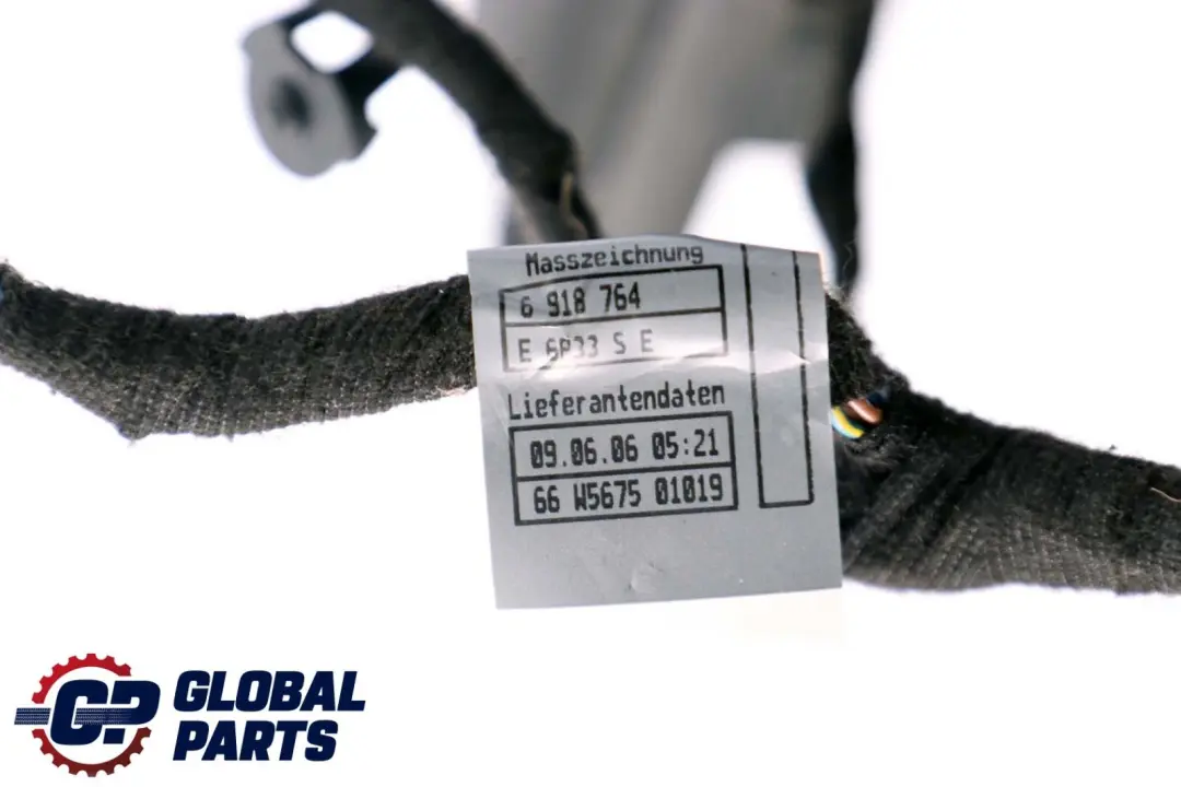 BMW E65 Wiązka Przewody Drzwi Prawy Przód - SKU 6923698 - Numer Części 6923698
