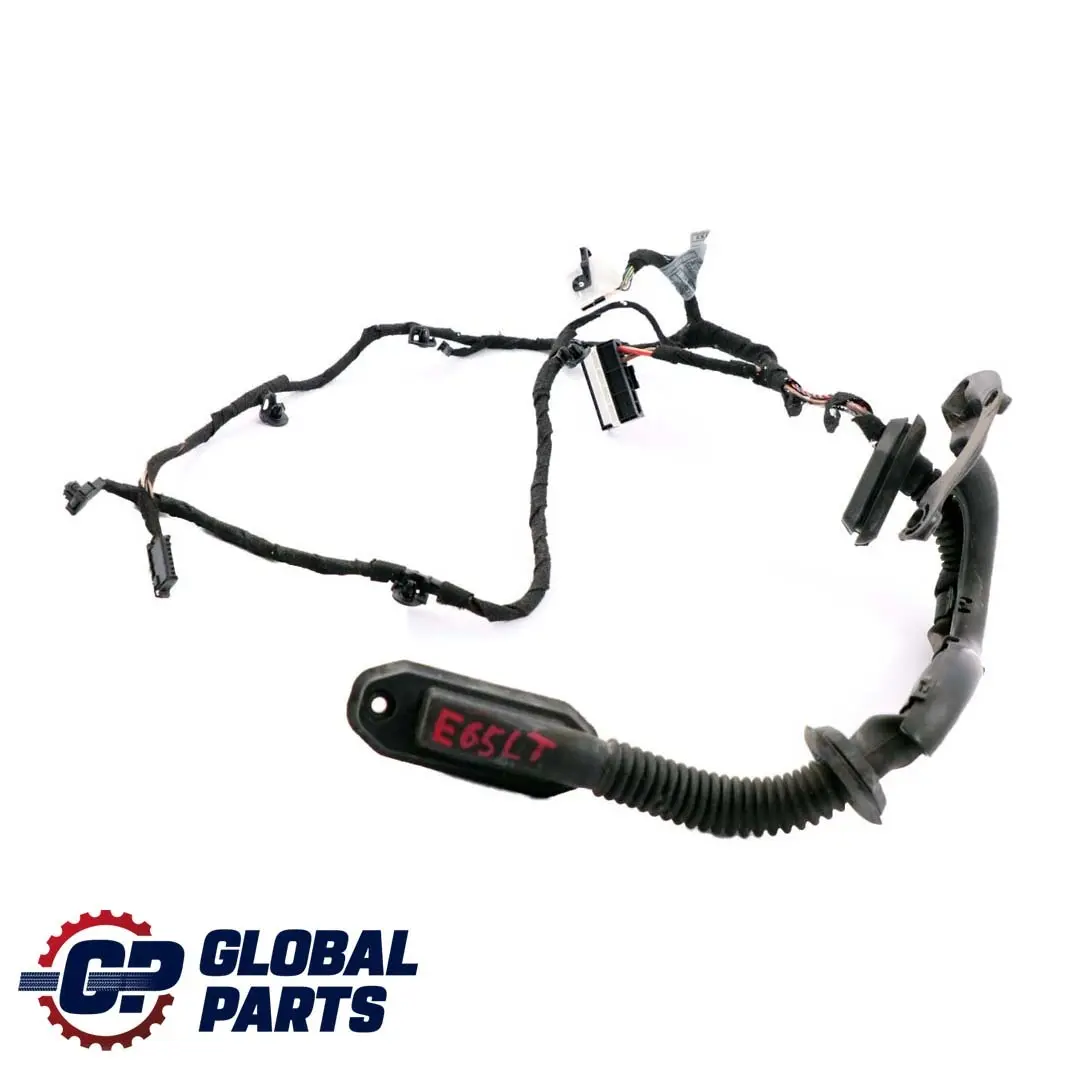 BMW 7 E65 Cables Faisceau de Cables Porte Arriere Gauche - SKU 6923711 - Numéro de pièce 6934038