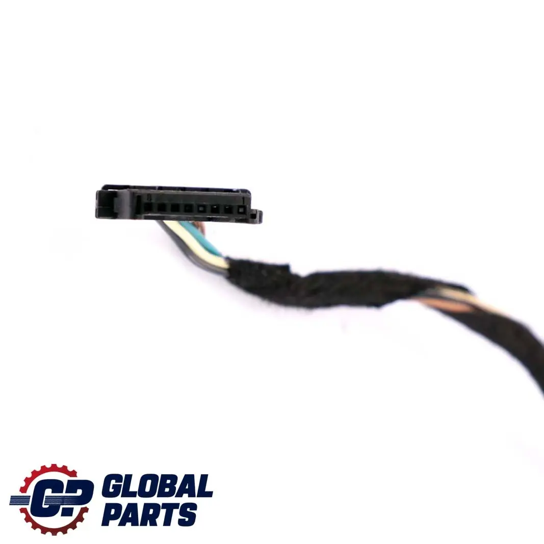 Cable Door Rear Left N/S Wiring Harness to BMW 7 Series E65 with Part number 6934038 BMW 7 Series E65 Cable Door Rear Left N/S Wiring Harness - SKU 6923711 - Part number 6934038