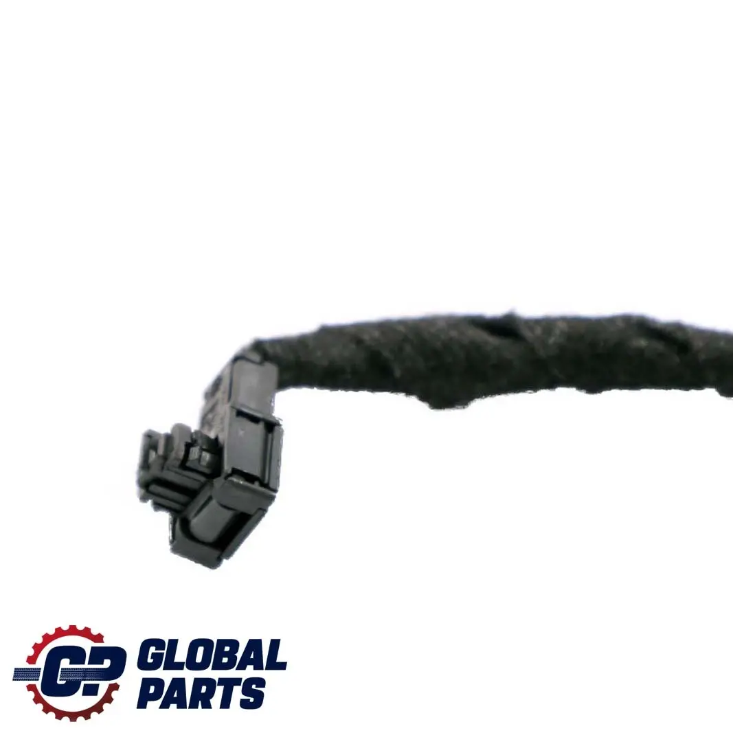BMW 7 er E65 Kabelsatz Kabelbaum Kabel Tür Hinten Links - SKU 6923711 - Teilenummer 6934038