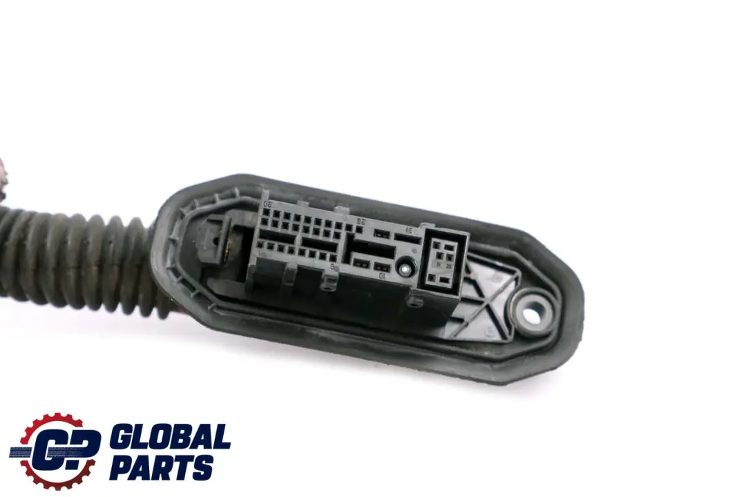 BMW 5 E60 E61 Front Left Door Wiring Loom Harness Passenger Side 6926479 - SKU rhd-6925937 - Part number 6925937
