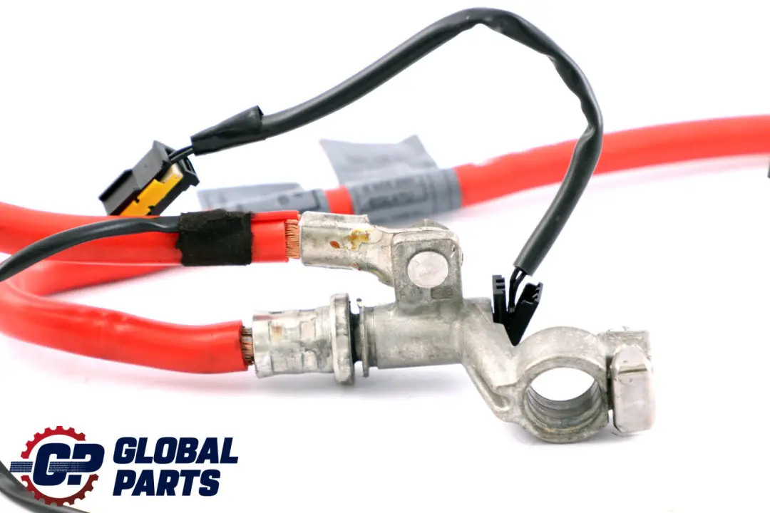 BMW E63 E64 Cavo Positivo Della Batteria Più Il Cavo Del Polo Terminale - SKU 6928990-2 - Numero di parte 6928990