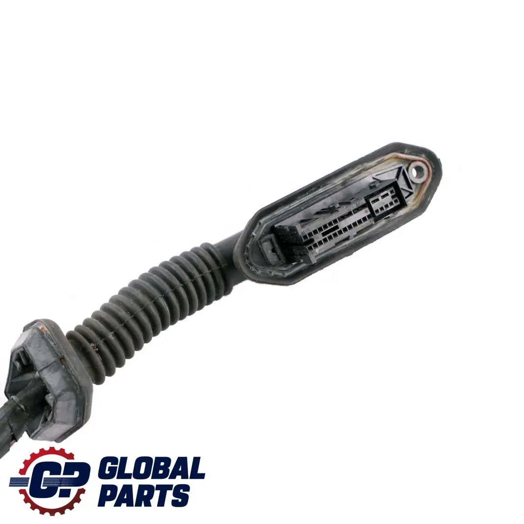 Cable Harness Loom Front Door Wiring Left N/S to BMW 3 Series E46 Compact with Part number 6929216 BMW 3 Series E46 Compact Cable Harness Loom Front Door Wiring Left N/S - SKU 6929216 - Part number 6929216