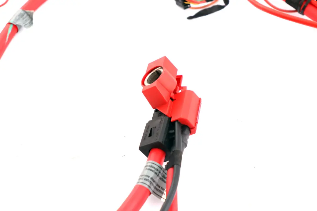 BMW X5 Serie E53 M57N 3.0D Diesel Cavo Batteria Positivo Più Piombo Polo 693247 - SKU 6932477 - Numero di parte 6932477