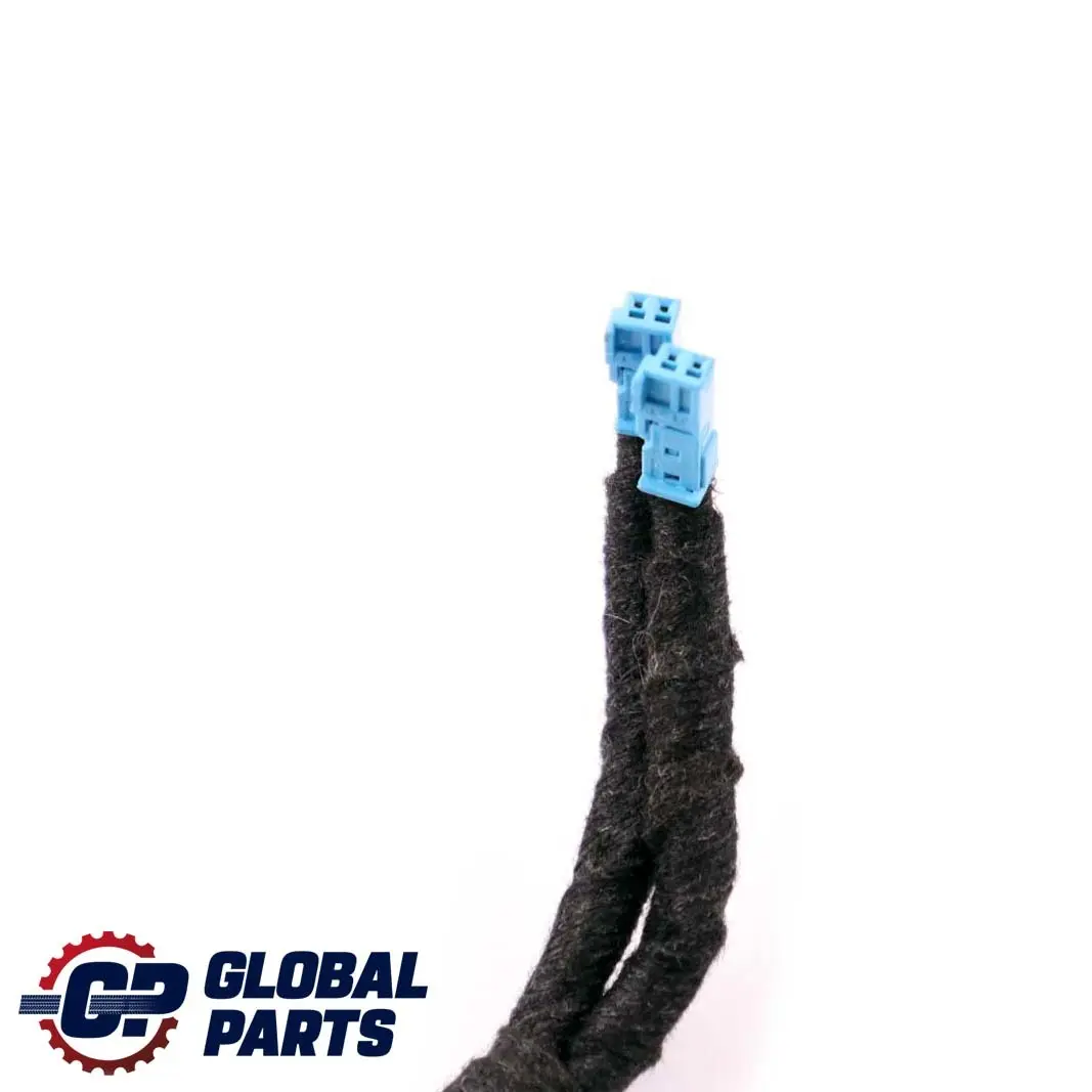 Mazo De cables Cableado Puerta Delantera Izquierda para BMW E65 E66 con número de pieza 6934010 BMW E65 E66 Mazo De cables Cableado Puerta Delantera Izquierda - SKU 6934011 - Número de pieza 6934010