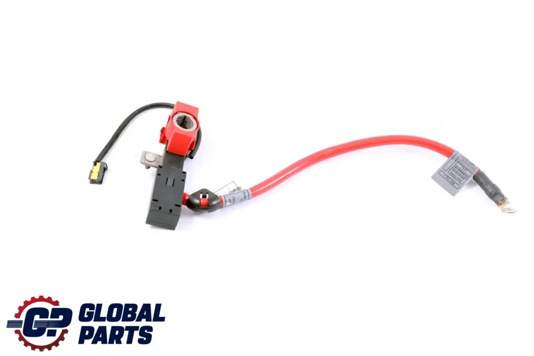 C?ble de batterie positive pour BMW X1 E82 E84 E88 E90 E91 E92 à propos du numéro de pièce 6938495 BMW X1 E82 E84 E88 E90 E91 E92 C?ble de batterie positive - SKU 6938495 - Numéro de pièce 6938495