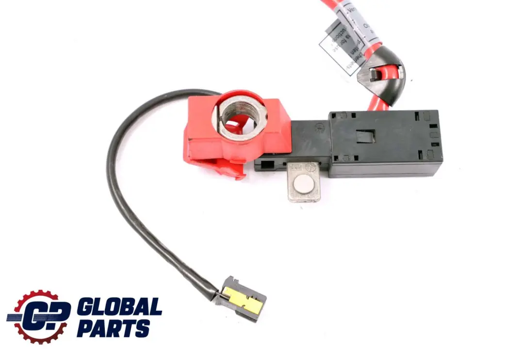 Cavo batteria Polo positivo per BMW X1 E82 E84 E88 E90 E91 E92 con numero di parte 6938495 BMW X1 E82 E84 E88 E90 E91 E92 Cavo batteria Polo positivo - SKU 6938495 - Numero di parte 6938495