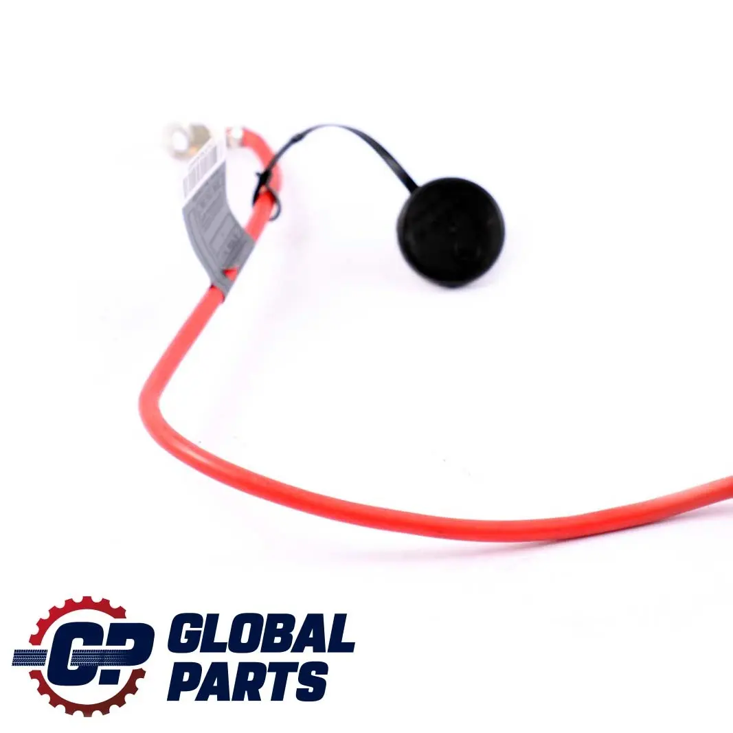  Pluskabel Batterie BMW E90 E91 E92 E93 Batteriekabelbaum Kabel - SKU 6938504-1 - Teilenummer 6938504