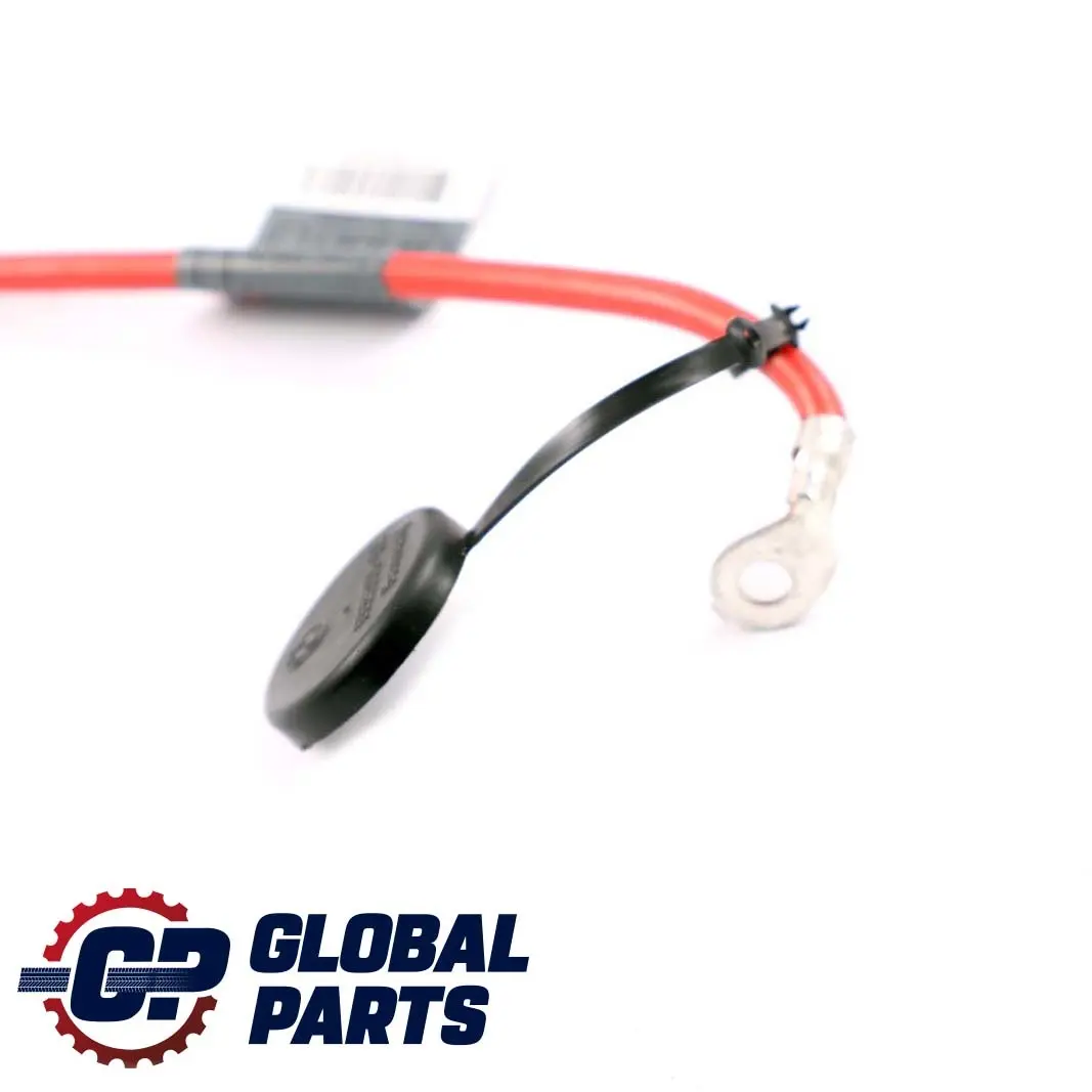  Cable Positivo De La Batería BMW E90 E91 E92 E93 Cableado De La Batería - SKU 6938504-1 - Número de pieza 6938504