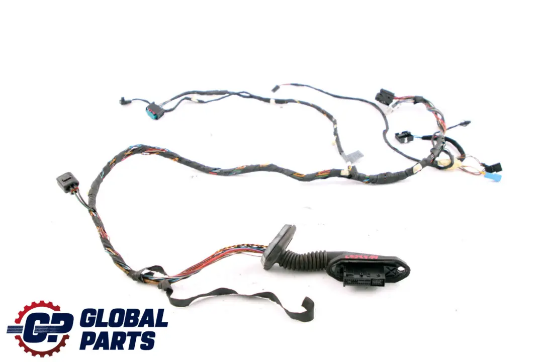 Wiązka Drzwi Przód Prawe Lewe do BMW X5 E53 o numerze 6941503 BMW X5 E53 Wiązka Drzwi Przód Prawe Lewe - SKU 6941503 - Numer Części 6941503