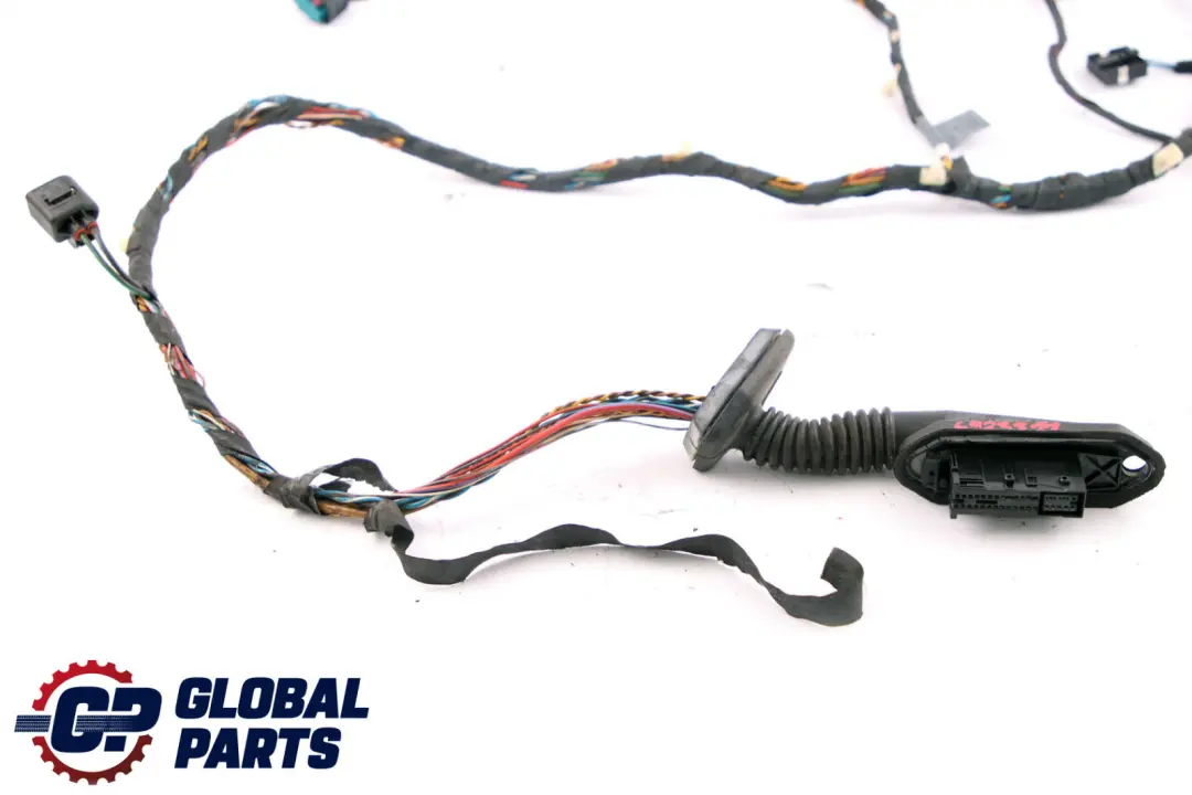 BMW X5 er E53 Kabelbaum Tür Vorne Links Rechts - SKU 6941503 - Teilenummer 6941503