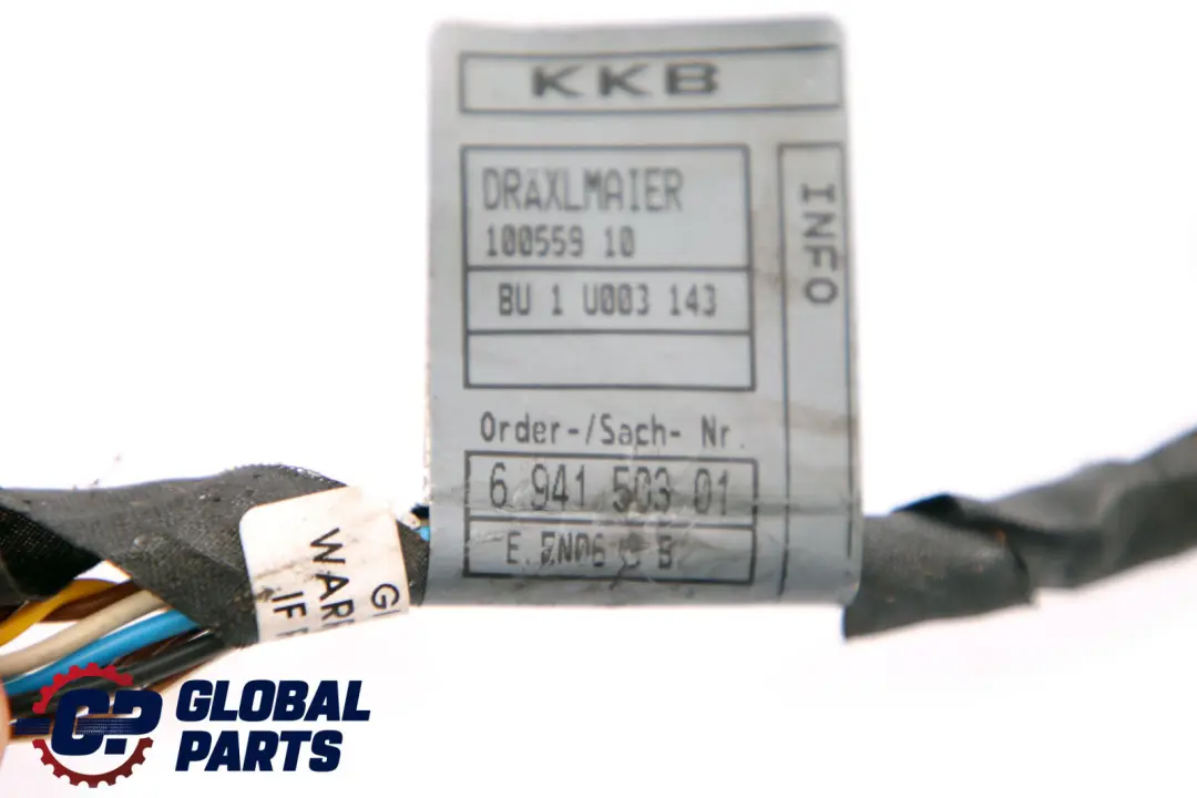 Cableado Puerta Delantera Derecha Izquierda N/ para BMW E53 con número de pieza 6941503 BMW E53 Cableado Puerta Delantera Derecha Izquierda N/ - SKU 6941503 - Número de pieza 6941503