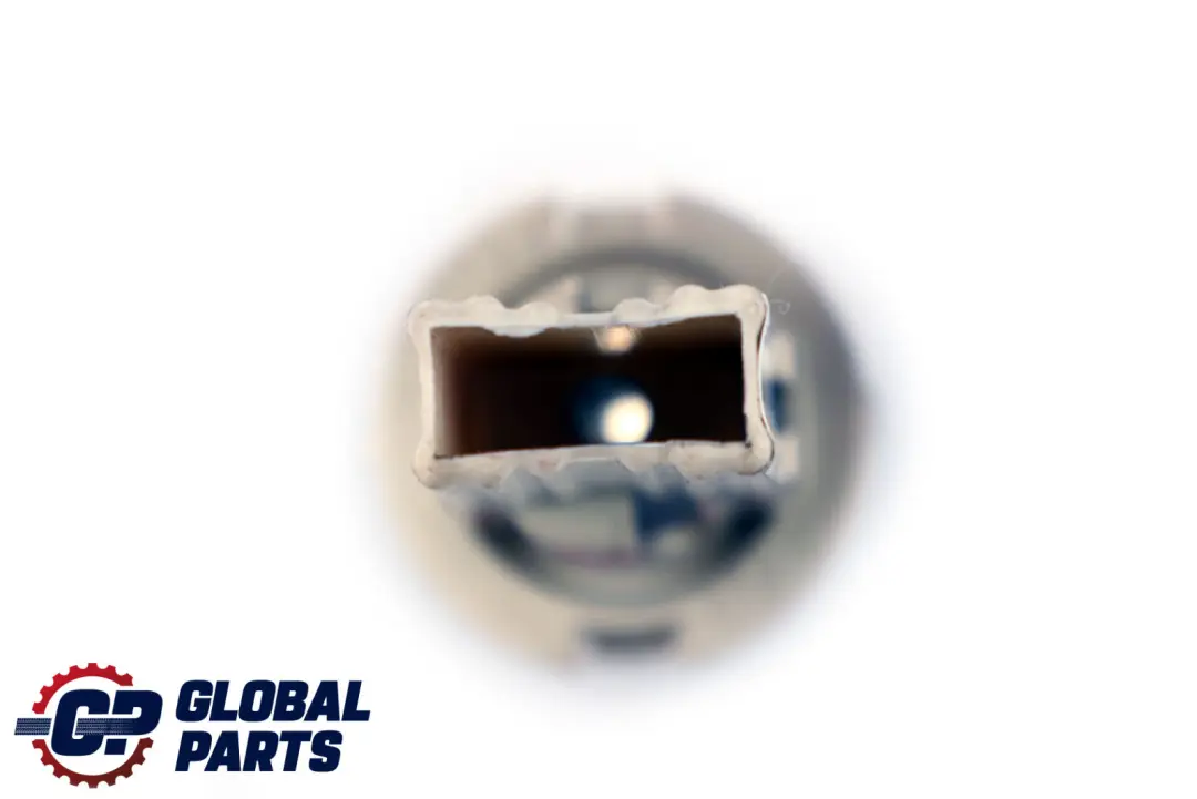 Douille de Lampe pour BMW X5 E53 à propos du numéro de pièce 6943037 BMW X5 E53 Douille de Lampe - SKU 6943037 - Numéro de pièce 6943037