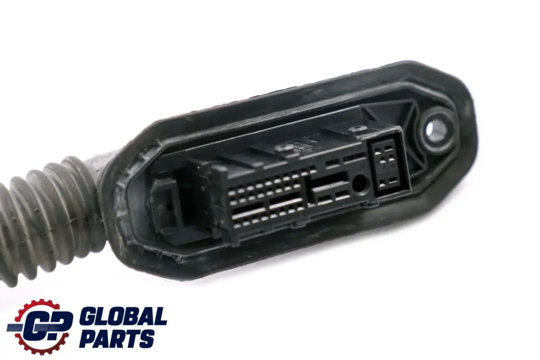 BMW Z4 er E85 Convertible Kabelsatz Beifahrerseite Hauptkabelbaum - SKU 6948059 - Teilenummer 6941884