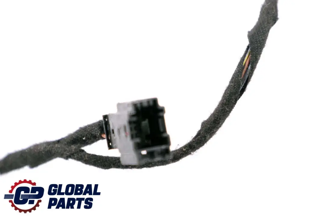 BMW Z4 er E85 Convertible Kabelsatz Beifahrerseite Hauptkabelbaum - SKU 6948059 - Teilenummer 6941884