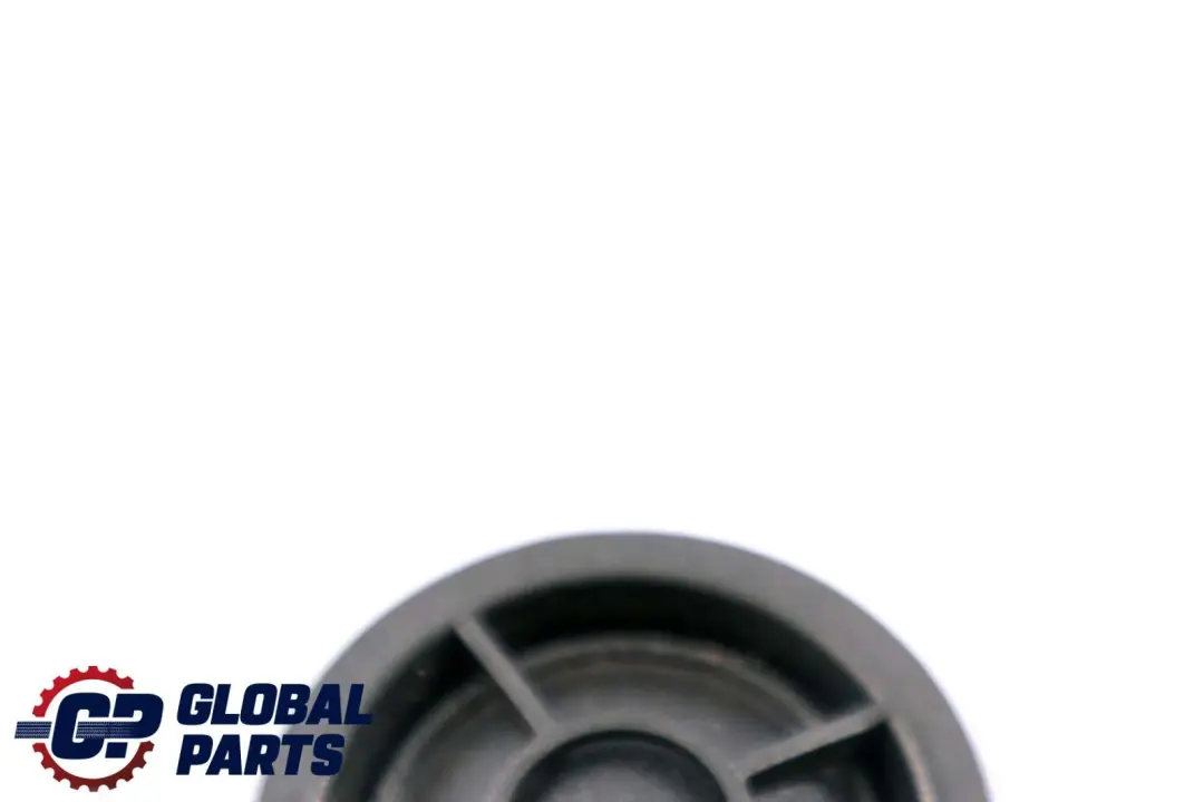Hochtonlautsprecher HiFi System für BMW 7 X5 X6 er E70 E71 F01 F02 mit Teilenummer 6949736 BMW 7 X5 X6 er E70 E71 F01 F02 Hochtonlautsprecher HiFi System - SKU 6949736 - Teilenummer 6949736