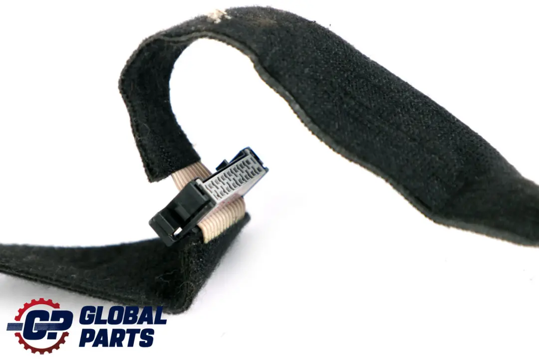 BMW X5 Series E70 Flat Cable Wiring Wire CAS Start Stop - SKU 6950093 - Part number 6950093