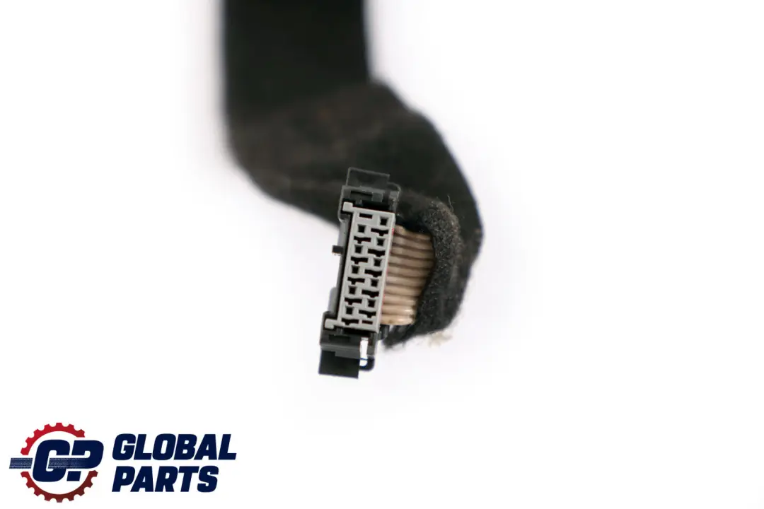 BMW X5 er E70 Kabelbaum Verdrahtung Kabel CAS Start Stop - SKU 6950093 - Teilenummer 6950093