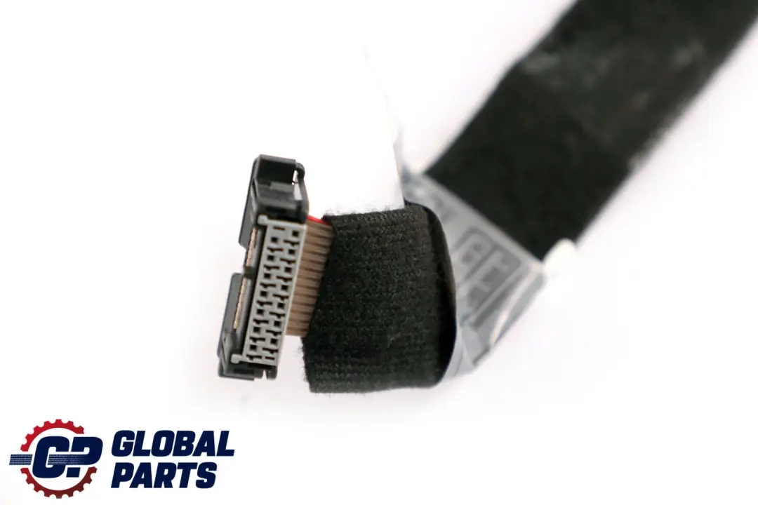 Cable plat de cablage CAS Start Stop pour BMW X5 Series E70 à propos du numéro de pièce 6950093 BMW X5 Series E70 Cable plat de cablage CAS Start Stop - SKU 6950093 - Numéro de pièce 6950093