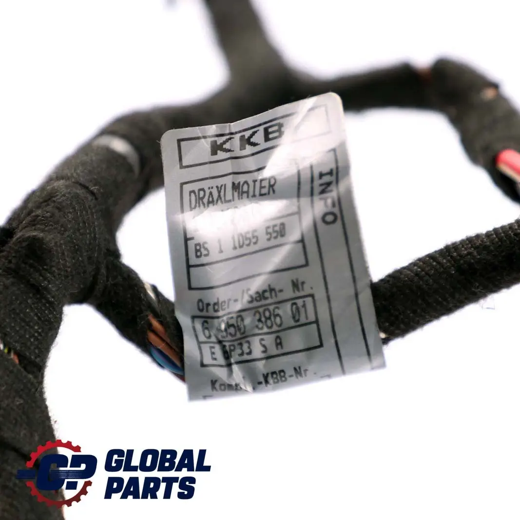 BMW E66 Puerta Trasera Izquierda Cableado Mazo Modulo Portador - SKU 6950384 - Número de pieza 6950384