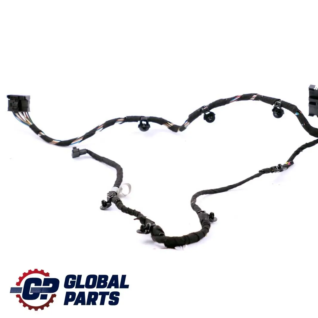 BMW E66 Puerta Trasera Izquierda Cableado Mazo Modulo Portador - SKU 6950384 - Número de pieza 6950384