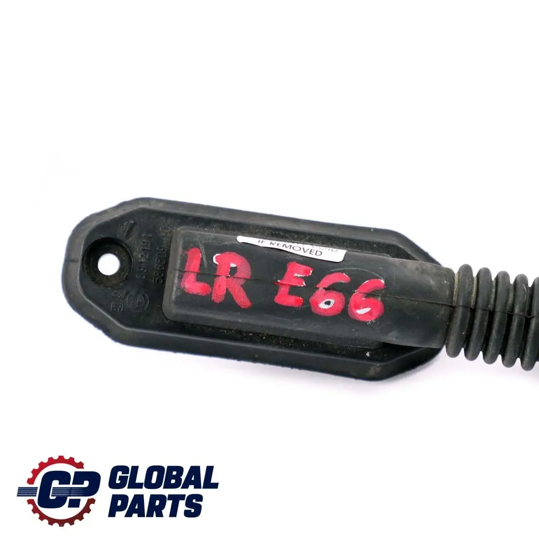 BMW E66 Puerta Trasera Izquierda Cableado Mazo Modulo Portador - SKU 6950384 - Número de pieza 6950384