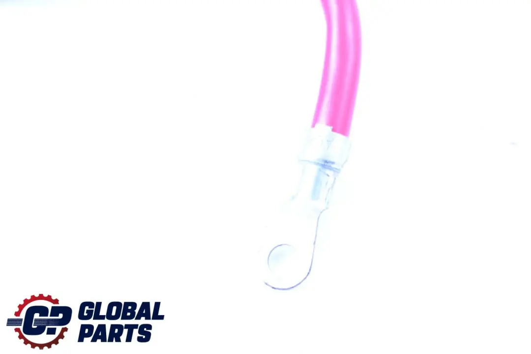 Cavo Batteria Plus per BMW Z4 3 E85 E86 con numero di parte 6953424 BMW Z4 3 E85 E86 Cavo Batteria Plus - SKU 6953424-3 - Numero di parte 6953424